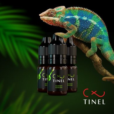 Tinel Pigmentek Cover Up