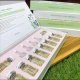STAYVE Hyaluronic Acid ampulla