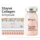 STAYVE Collagen ampulla